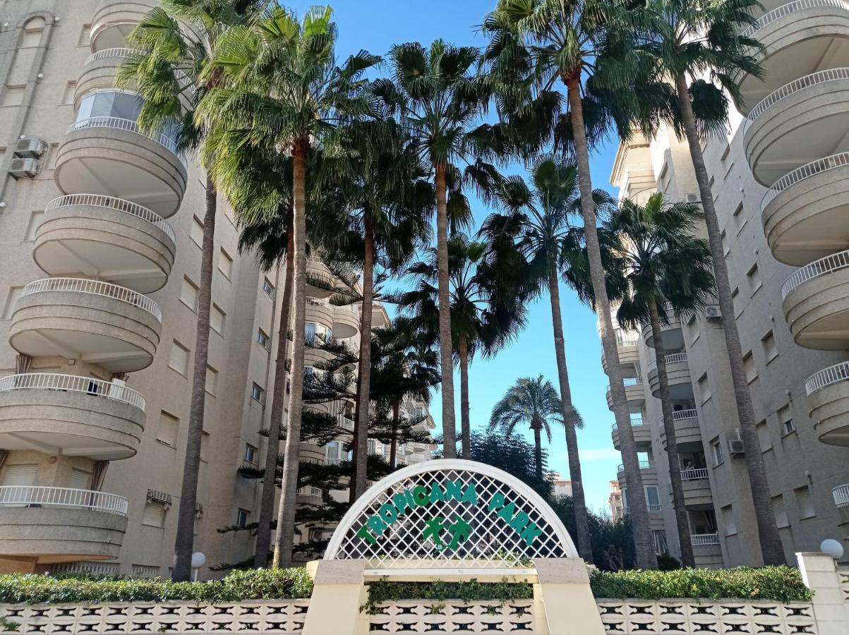 Tropicana Park Solo Familias Serviplaya Gandia Bagian luar foto
